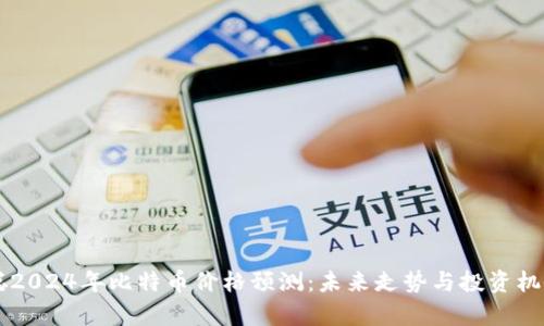 中本聪2024年比特币价格预测：未来走势与投资机会分析