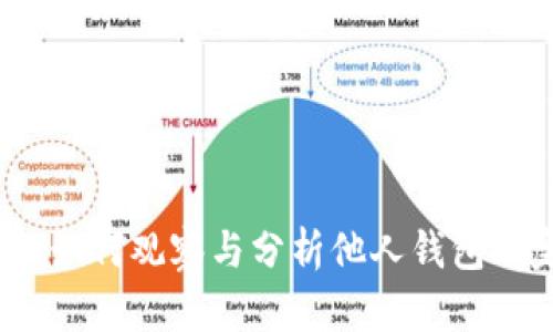 tpwallet：如何观察与分析他人钱包的完整指南