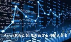 Gopay钱包支付：您的数字支